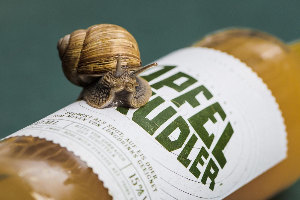 高端品牌logo設(shè)計(jì)