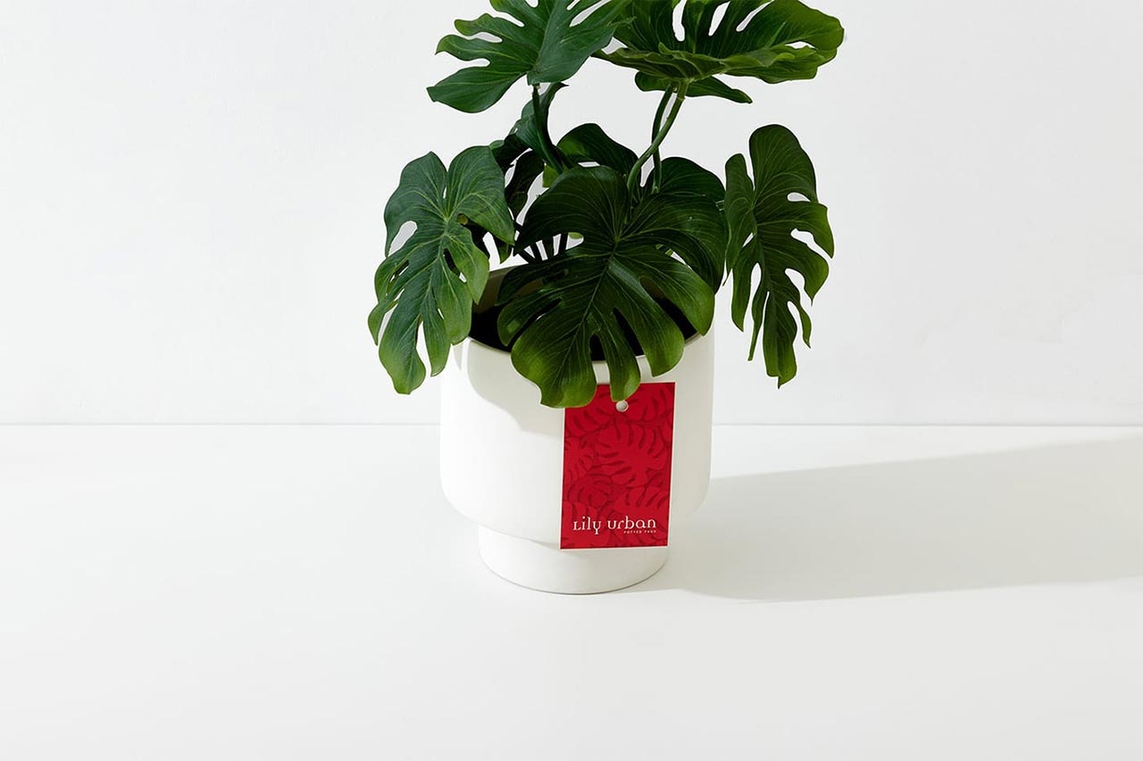 企業(yè)VI設(shè)計